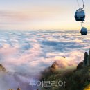 (주)대륙유통 이미지