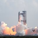 only one P.T fitness 이미지