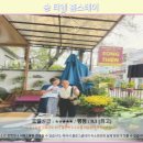 M terrace | 호이안 송 티엔 홈스테이 후기: 인생 숙소 등극! 호이안 여행 추천