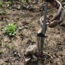 인동농장 이미지