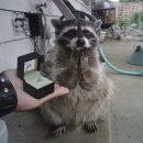 팀 폭스테일 | 목포 당일치기