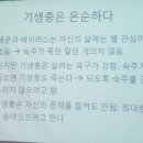 인제교육도서관 이미지