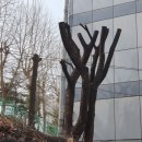 세진환경자원 이미지