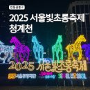 초롱애견 - 창원시 진해구 백구로 4 | 2025 청계천 서울빛초롱축제(대중교통·주차 Tip·잉어킹 위치) | 애견동반 가이드