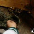 룰루라라