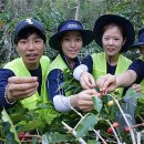 김봉태농장 이미지