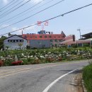 엄다면사무소 이미지