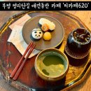 부평 티카페620 애견동반가능