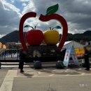 경상북도 청송군청 | [청송/가볼곳] 청송 사과축제 (토요일) 방문 후기! 완전 강추!