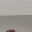 컬러릿 이미지