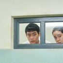 박혜은 카카오 검색결과