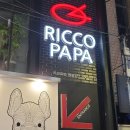 리코파파 원평점 이미지