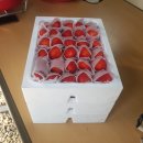 준이네농장 이미지