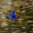 자유의집 | 은평구 요양원 찾는다면 자유의집 전문가의 돌봄 서비스