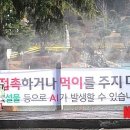 광진구청 이미지