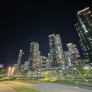 나성동_세종예술의전당 앞 이미지