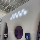 두바이 짐 | 두바이 아야 유니버스 후기｜사막투어 대신 다녀온 실내 전시회✨