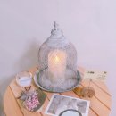 수수네일 - 강릉시 | 수수네일