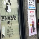강아지 분양 프러포즈펫 이미지