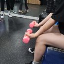 스타복싱 체육관 이미지