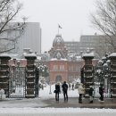 홋카이도 이미지