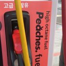 피치스주유소 빙고점 이미지