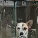 NR-3[진주대로]-상-95 | 일상_3