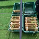 하하호호푸드 | 장지역 가든파이브 하하호호 눈썰매장 평일 1부 후기 아이랑 다녀온 솔직리뷰 꿀팁