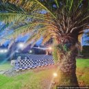 제주애견동반감성숙소 르페도라 이미지