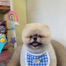 행복한미용