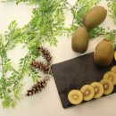 국대과일 이미지