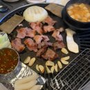 오늘은돼지 티스토리