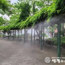 엄사중앙어린이공원 이미지