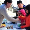 노거수 은행나무 축제의 속삭임 이미지