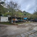 물꽃 캠핑장 | 연천 전곡 키즈캠핑장 물꽃캠핑장 후기