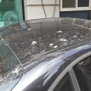 내차처럼 이미지