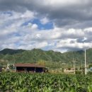 너래안농장 이미지