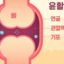 분당바른의원 네이버블로그