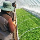 사내농장 이미지