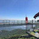 (주)다원코리아 | 하동 짚라인 코리아 짚와이어 예매 몸무게 소요시간