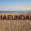 영화캡슐 이미지