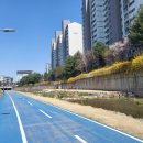 퇴계천길 이미지