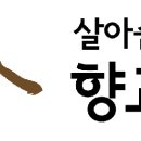 [웹포스터] 3회 별빛 콘서트_생명 콘서트 이미지