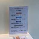 망포역 미용실 보그헤어 망포점 선미디자이너 모카무스 웜톤 머리 염색 후기(내돈내산)