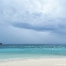 파라다이스 이미지