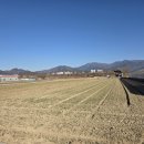 은혜과일 이미지