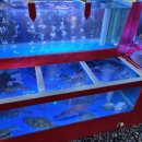 마당집가든 이미지