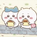 요즘 유튜브 알고리즘에 다이어트 제로 쿠키 자꾸 올라옴 이미지