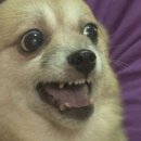 에