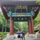 (주)코리아세븐 이수태평점 | [블챌] 주간일기쓰기 #4 도림천 걷기 청둥오리 새끼가족과 앳플리 가정용 인바디 체중계 어플 사용후기